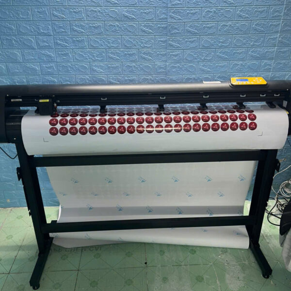 In Decal Bế Demi