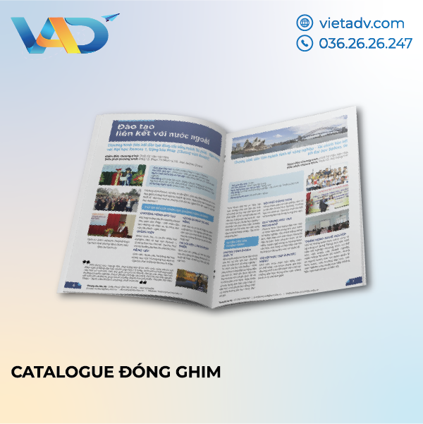 In catalogue đóng ghim