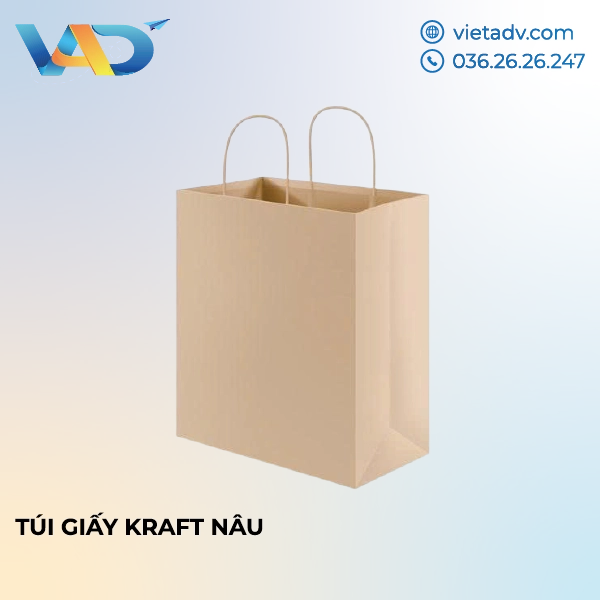 In túi giấy kraft nâu